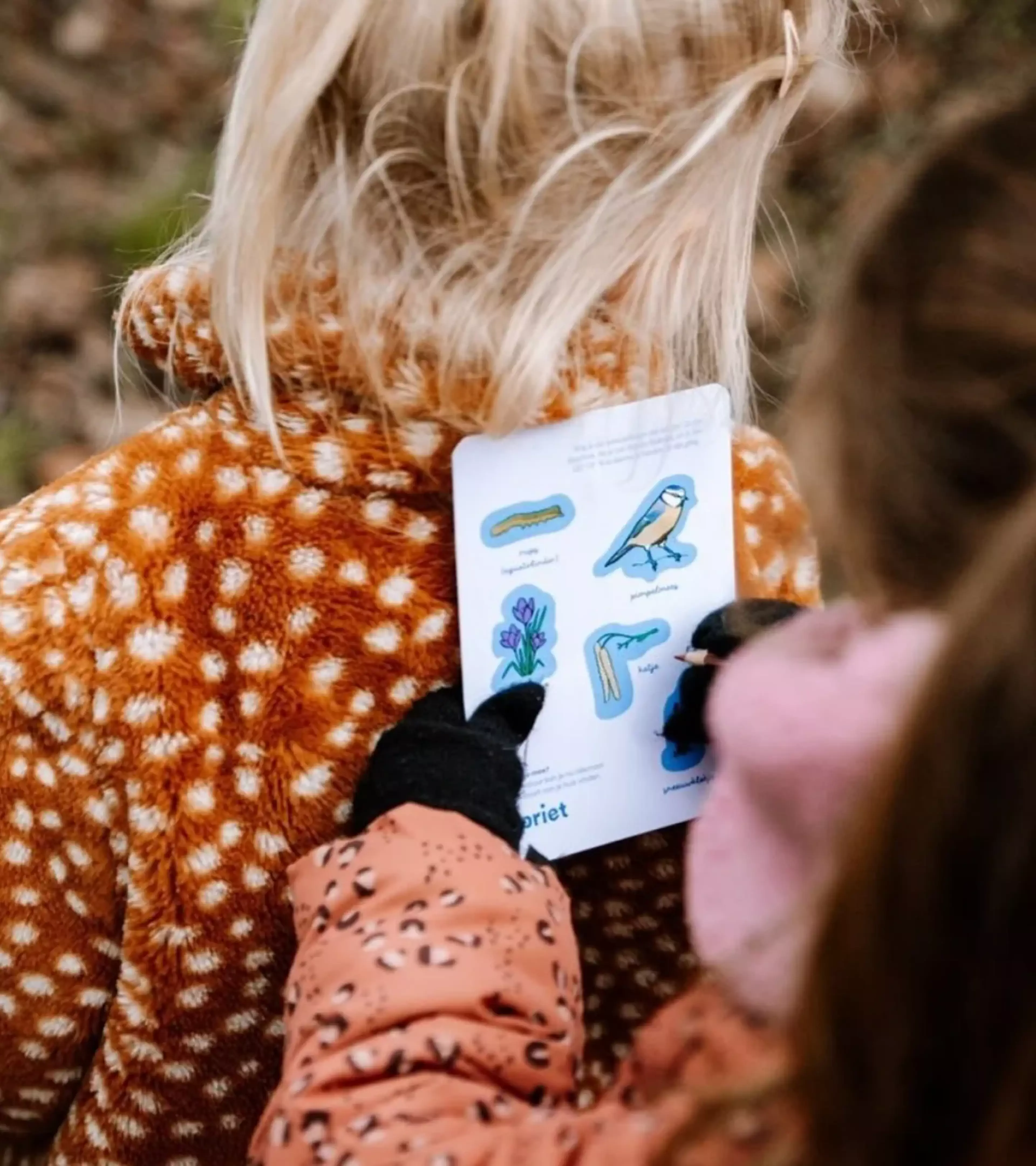 Two kids playing a game outside, looking for autumn things