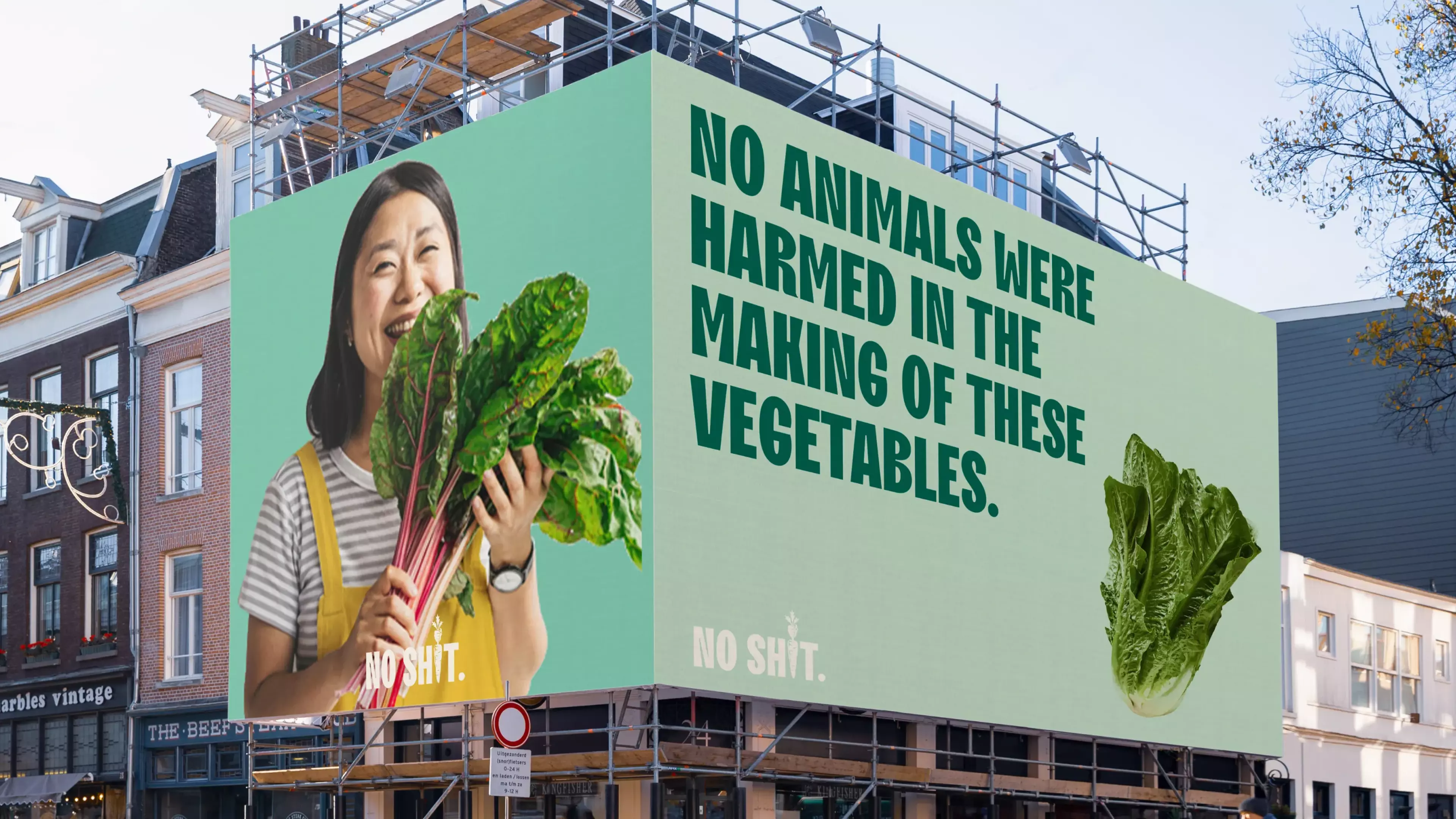 A large billboard in the middle of the shopping street showing someone holding a vegetable