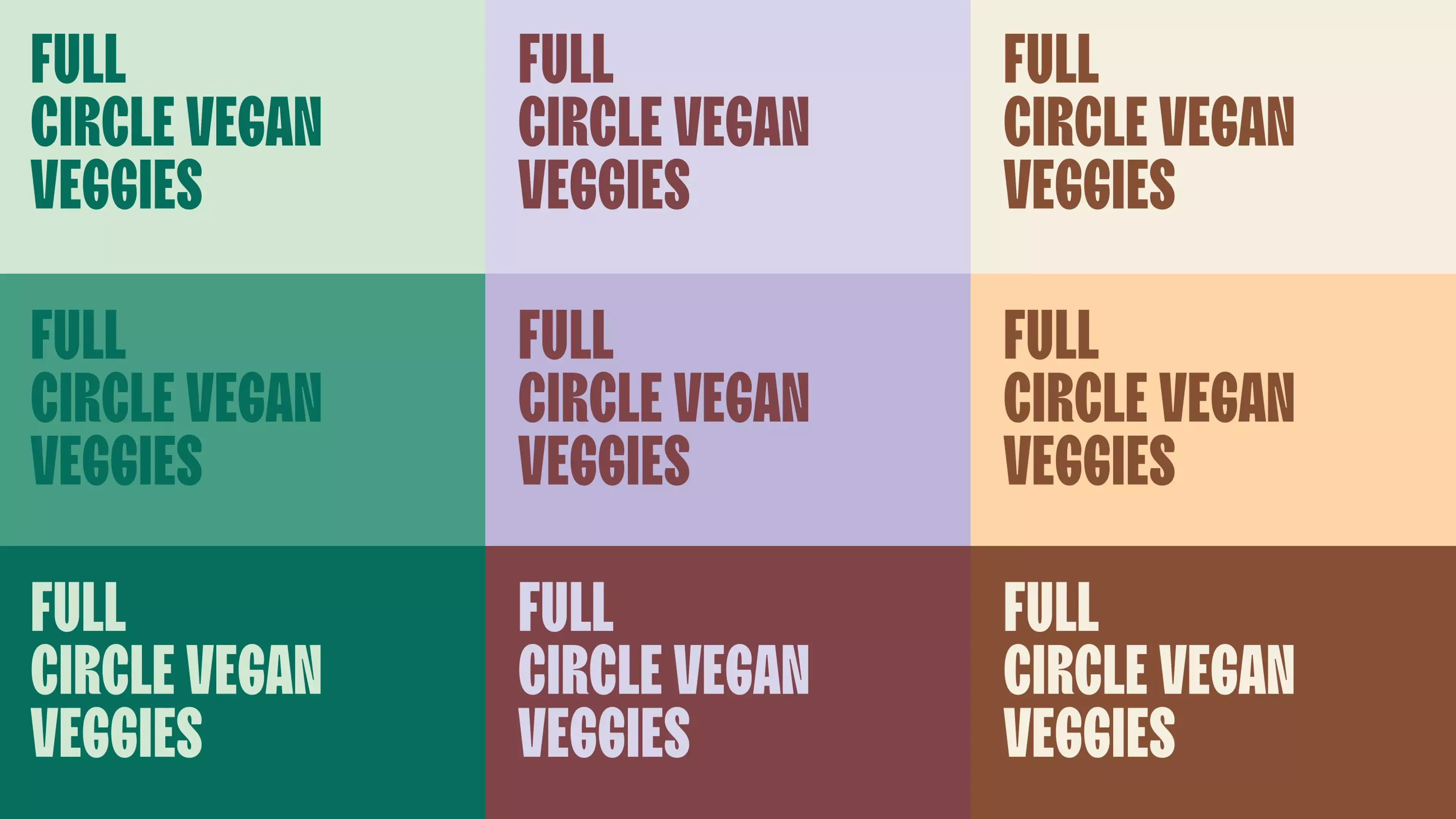 Nine rectangular shapes containing the No Shit tagline, each in a different color according to the color palette