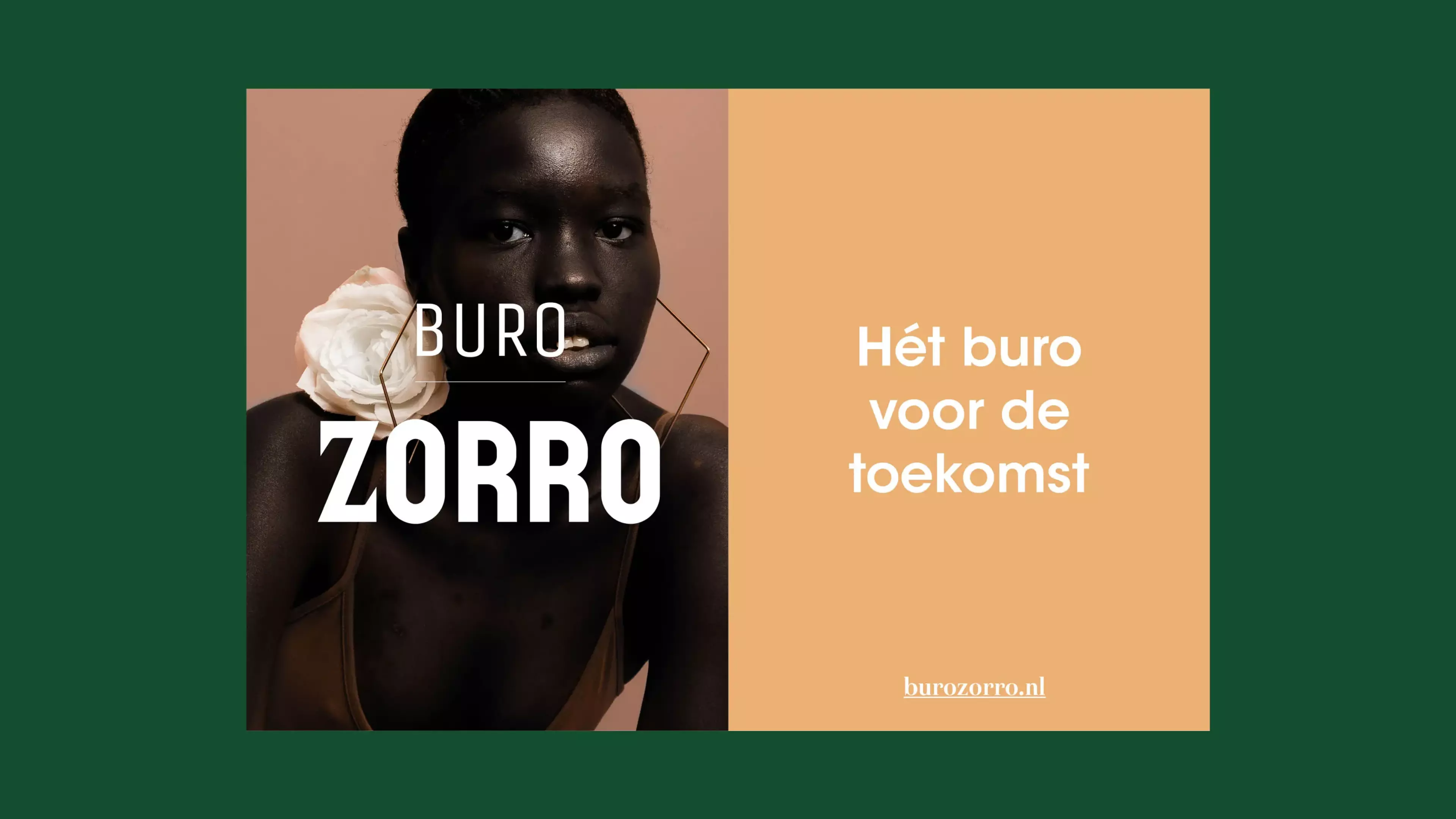 A green area with an image of a dark woman and the tagline of Burro Zorro