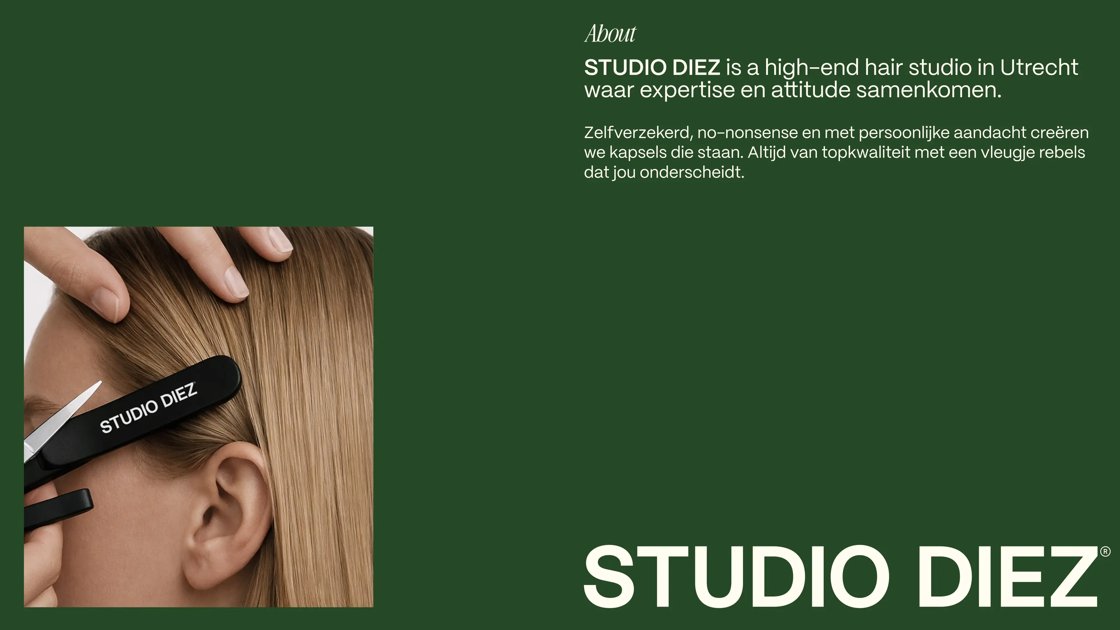A stylist trims a person's hair using scissors branded "STUDIO DIEZ" with green background and text about the hair studio's expertise.