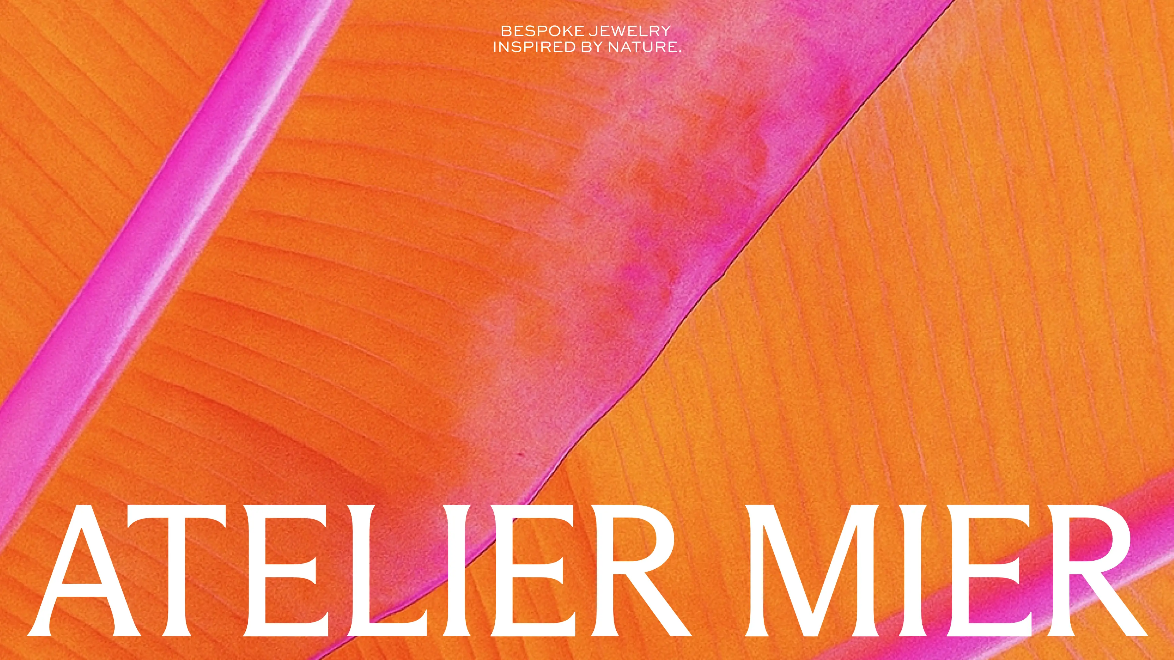 Logo met veel kleur van een jewelry merk